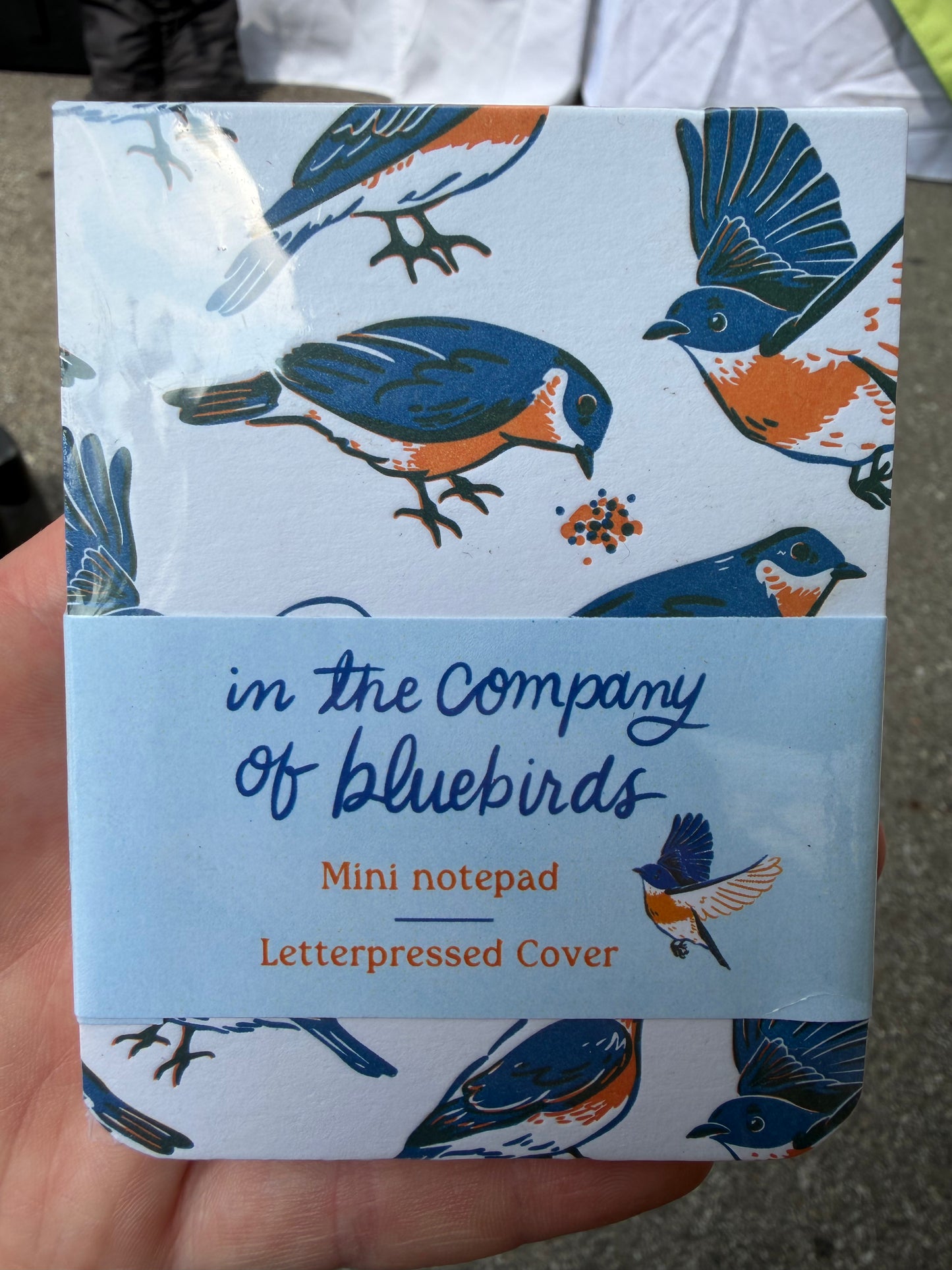 Letterpressed Bluebird notepad